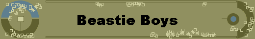  Beastie Boys 